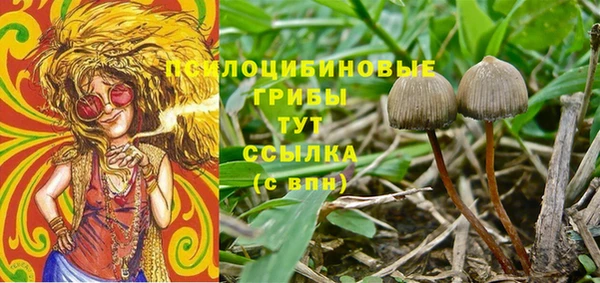 каннабис Волоколамск