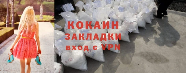 прущие грибы Володарск